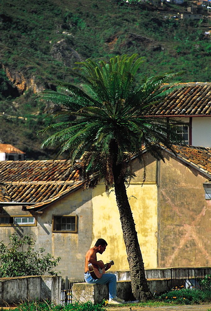 Brazil, Minas Gerais.Ouro Preto Colonial City.Man Playing Guitar Under A Palm