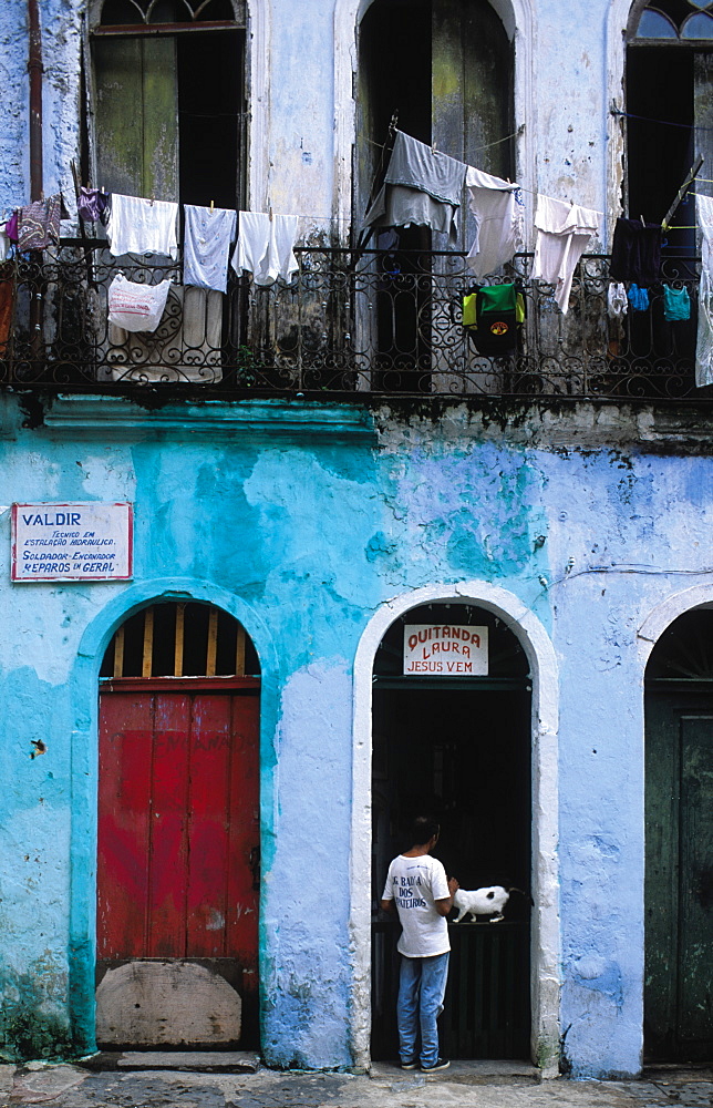 Brazil, Salvador De Bahia.Ancient Pelourinho Neighbourhood.Man Petting White Cat At An Old Housing Buiding Entrance