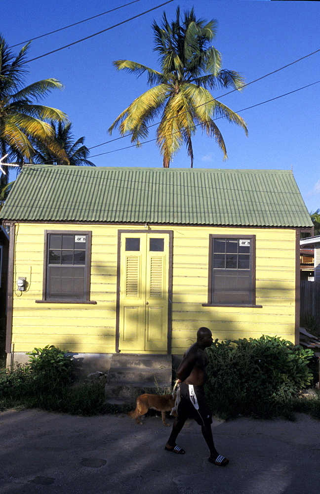 Caribbean, West Indies, Barbados, St Peter Parish, Fishermen Village Of Six Men's Bay, Colored Chattel House And Passer By