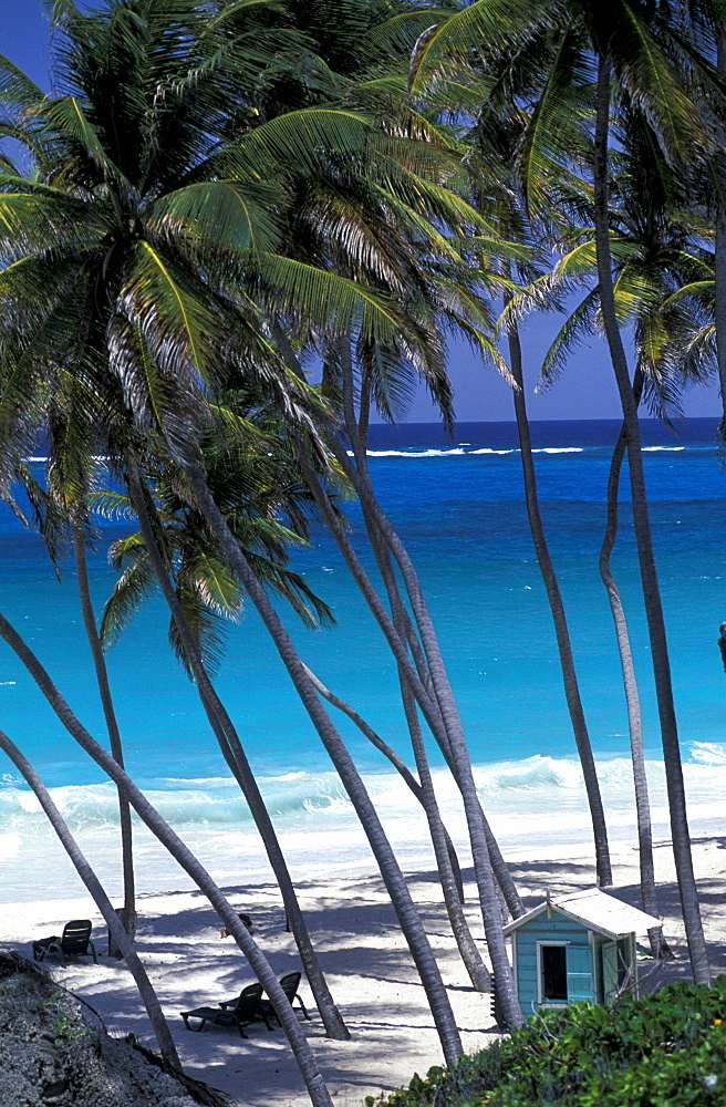 Caribbean, West Indies, Barbados, East Coast, Bottom Bay Beach