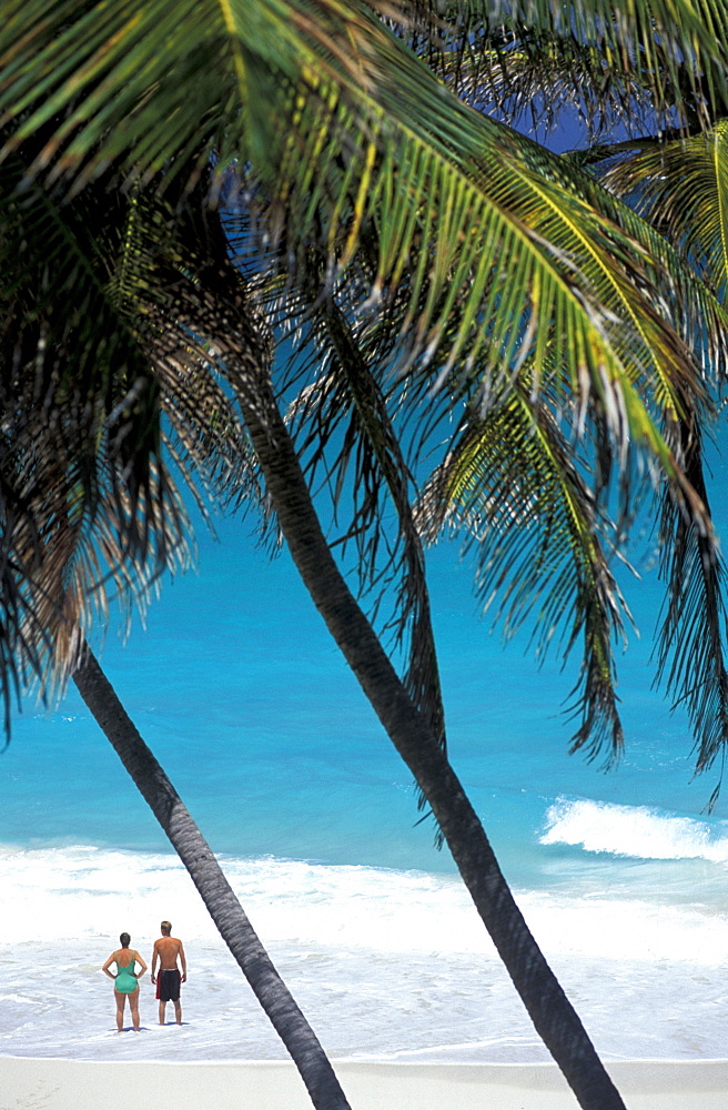 Caribbean, West Indies, Barbados, East Coast, Bottom Bay Beach