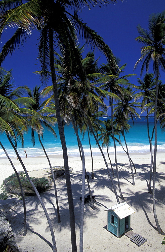 Caribbean, West Indies, Barbados, East Coast, Bottom Bay Beach