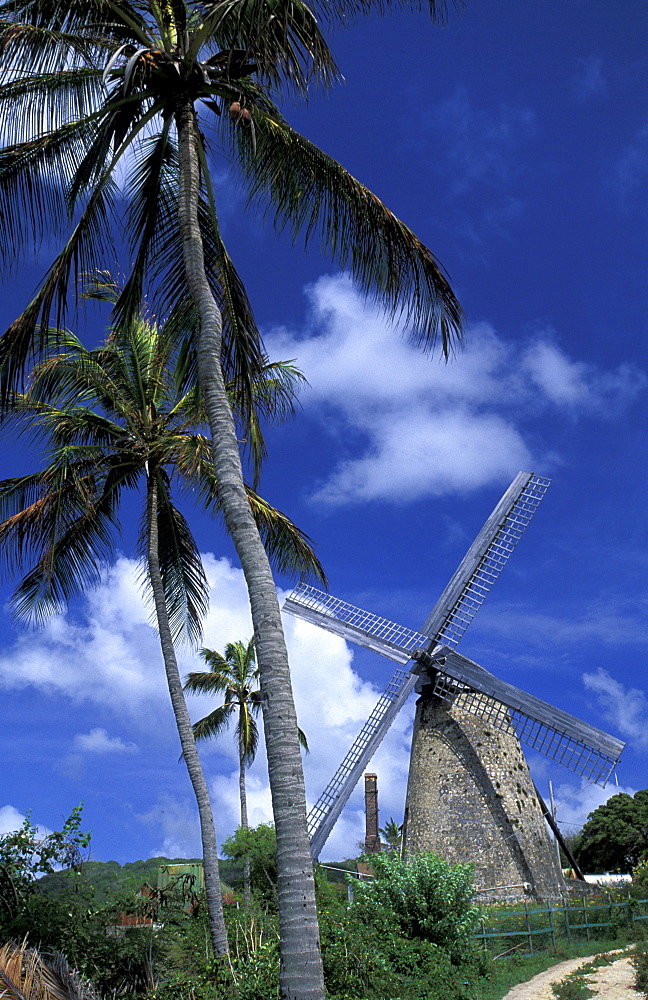 Caribbean, West Indies, Barbados, St Peter Parish, Green Pond, The Morgan Lewis Windmill, Renovated Recently, Designed By Dutch Settlers