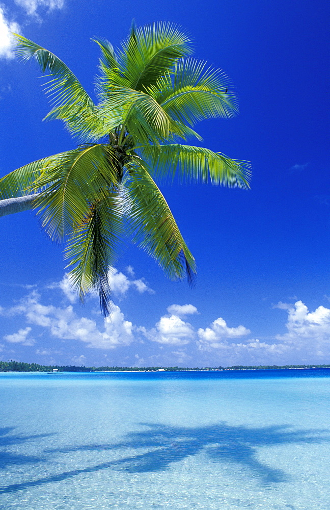 French Polynesia, Tuamotus Archipelago