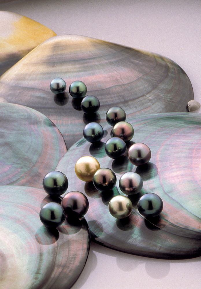 French Polynesia, Mr Robert Wan's Exceptional Black Pearls Of His Private Collection