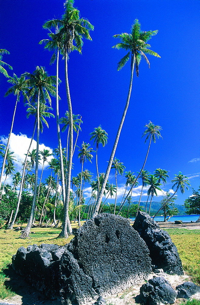 French Polynesia, Society Islands (Iles Sous-Le-Vent), Raiatea Island, The Opoa Marae Religious Site Of Ancient Polynesia