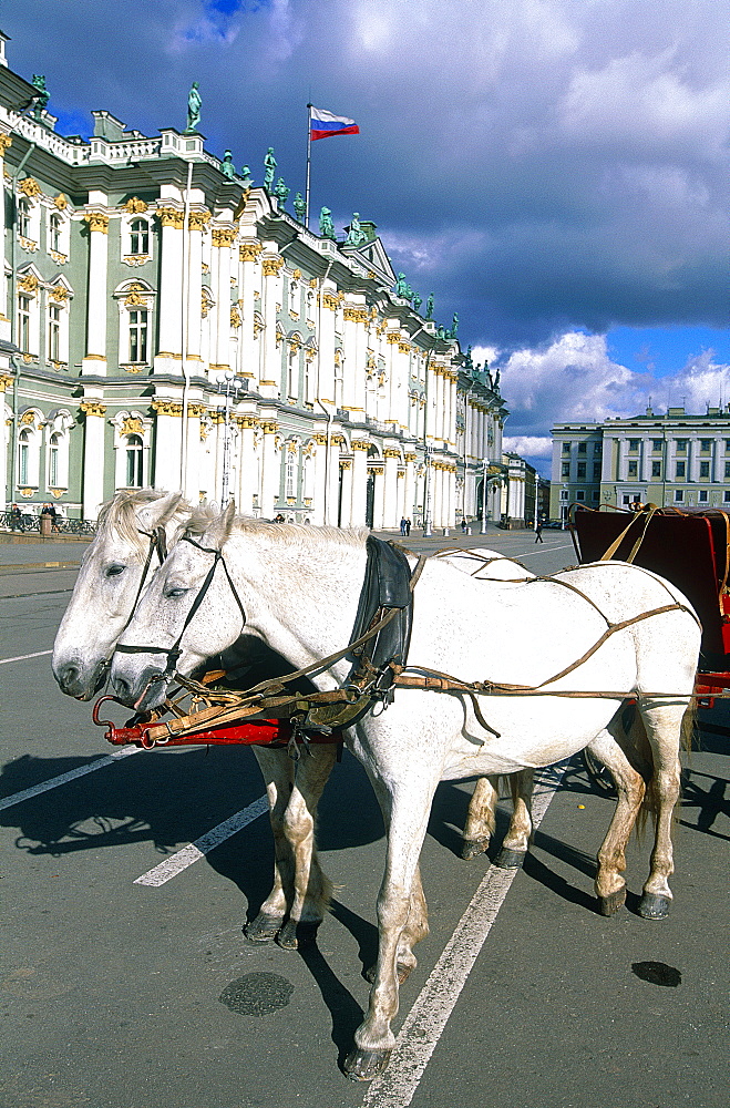 Russia, St-Petersburg, Winter Palace Facade (Hermitage Museum), Carriage And Horse For Renting On The Palace Square