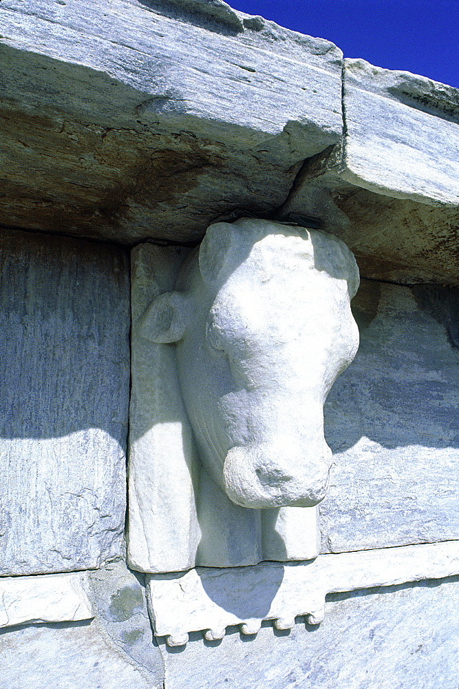 Greece, Cyclades, Delos Island Close To Mykonos, Antique Head Of A Bull At The Temple Fronton