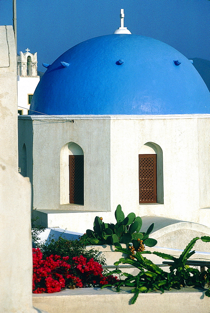 Greece, Cyclades, Santorini Island, Blue Dome On A Chapel, Cactus And Bougainvillea Flowers At Fore