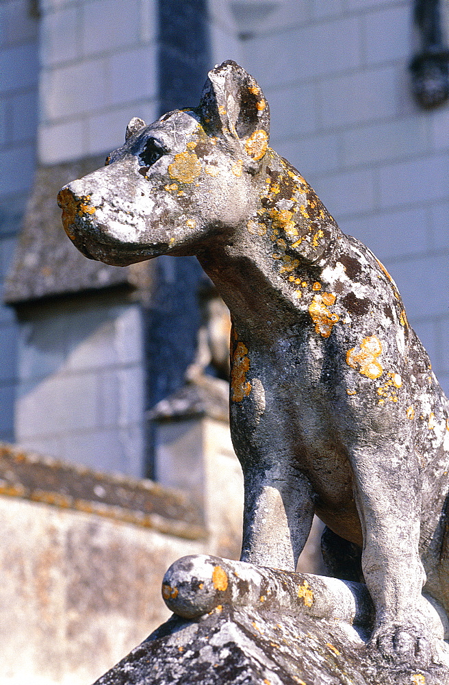 France, To Uraine Val-De-Loire, In Dre-Et-Loire, Loches, The Medieval Castle, A Renaissance Dog Sculpture At The Castle Entrance, Open To Public