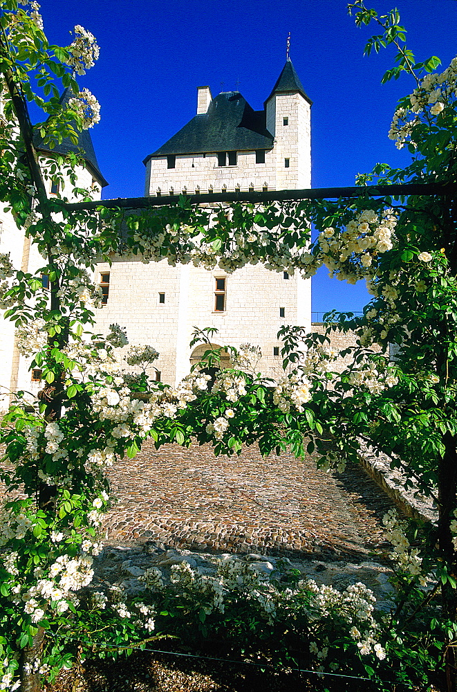 France, To Uraine Val-De-Loire, In Dre-Et-Loire, Le Riveau Castle, Facade On Park, Roses Pergolos Angeles, Open To The Public