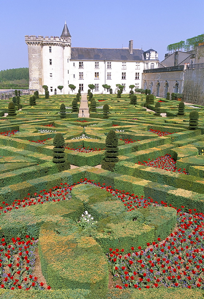 Chateau de Villandry and formal gardens, UNESCO World Heritage Site, Loire Valley, France, Europe