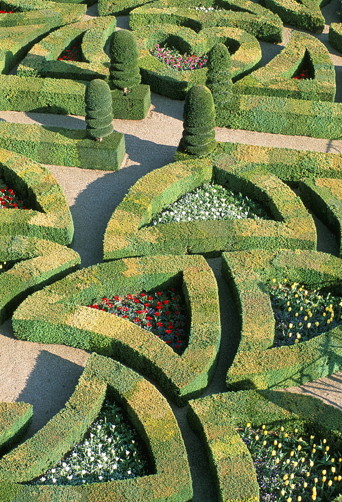 Formal gardens, Chateau de Villandry, UNESCO World Heritage Site, Loire Valley, France, Europe