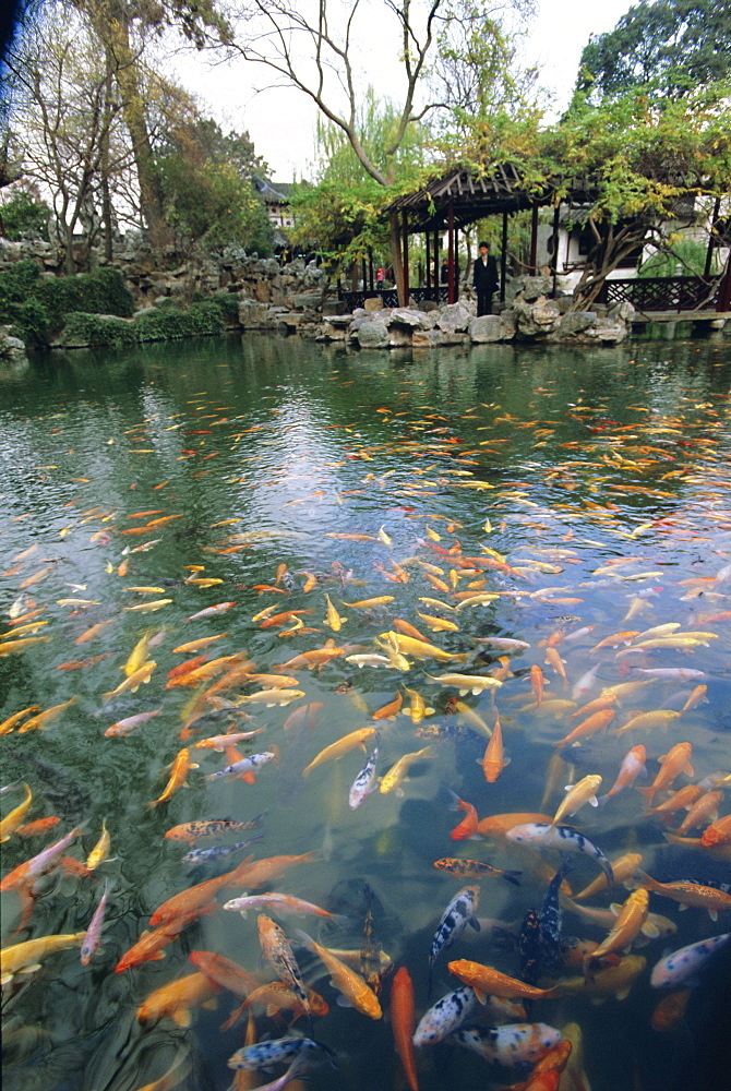 Carp pond, Suzhou, China