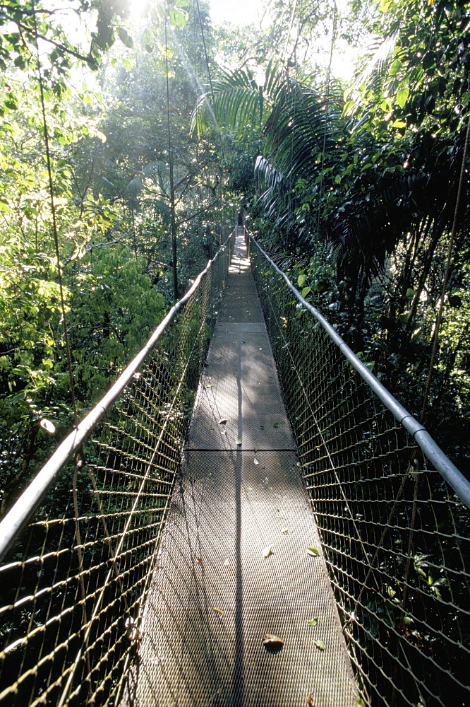 Foot bridge over the forest canopy, Costa Rica, Central America