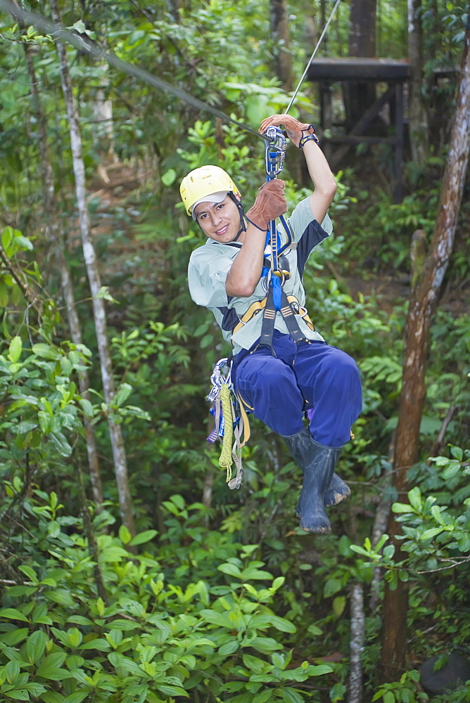 Man on a canopy tour zipline in rainforest, Pacuare River, Turrialba, Costa Rica, Central America