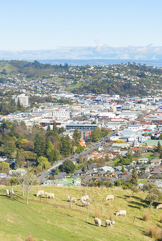 Aerial view of Nelson, South Island, New Zealand, Pacific 