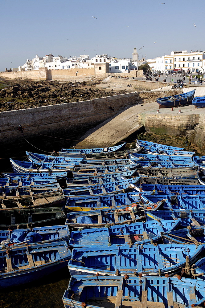 The old fishing port, Essaouira, the historic city of Mogador, Morocco, North Africa, Africa