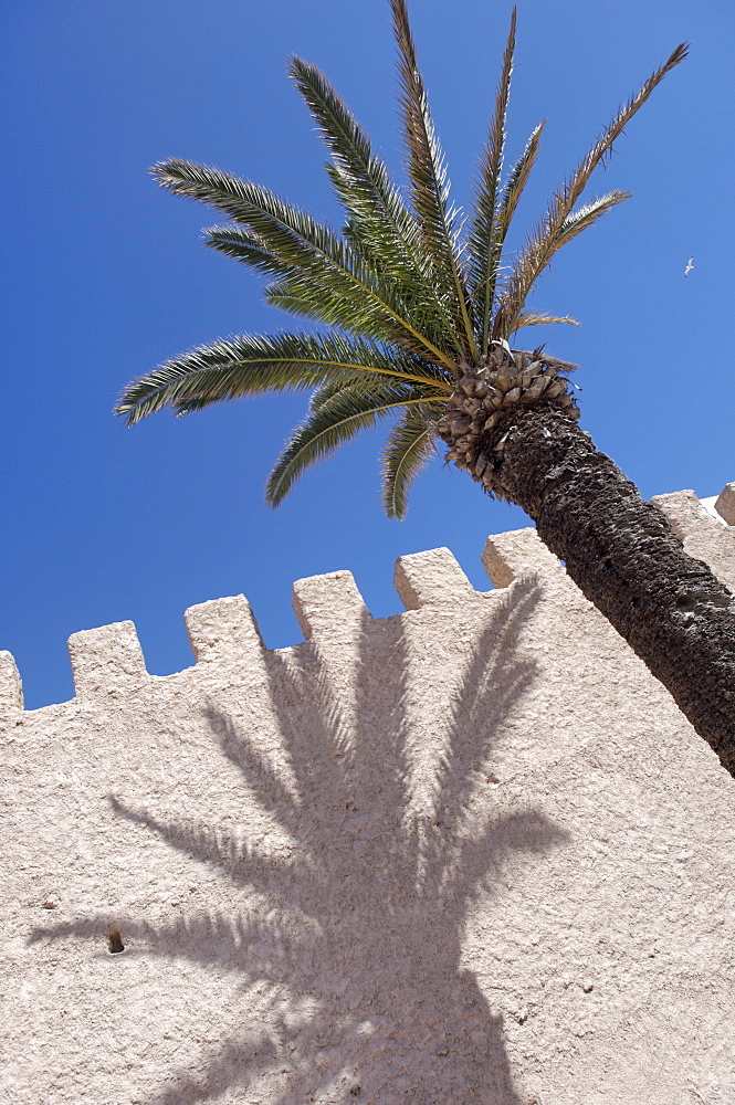 The ramparts of the medina, Essaouira, the historic city of Mogador, Morocco, North Africa, Africa