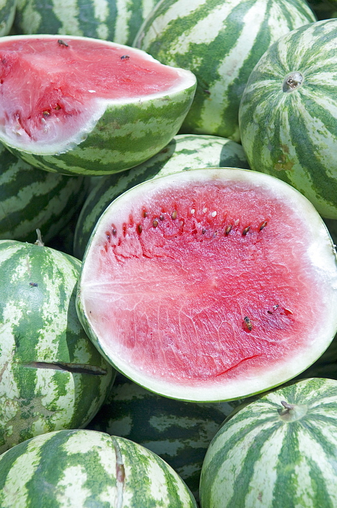 Watermelons, Ed Damer village, Sudan, Africa