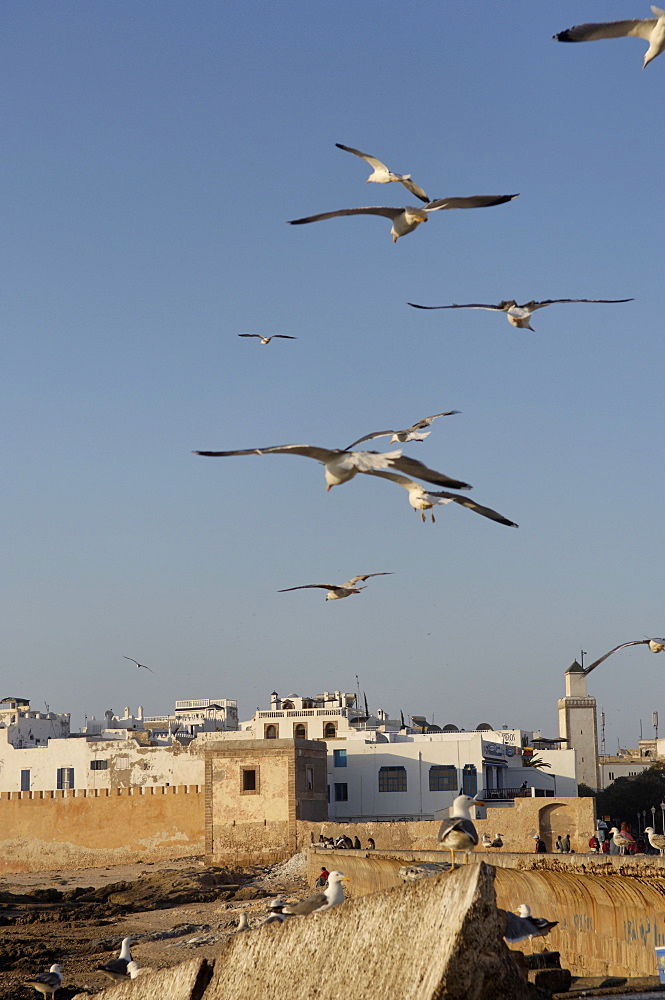 Old waterfont and city behind ramparts, Essaouira, historic city of Mogador, Morocco, North Africa, Africa