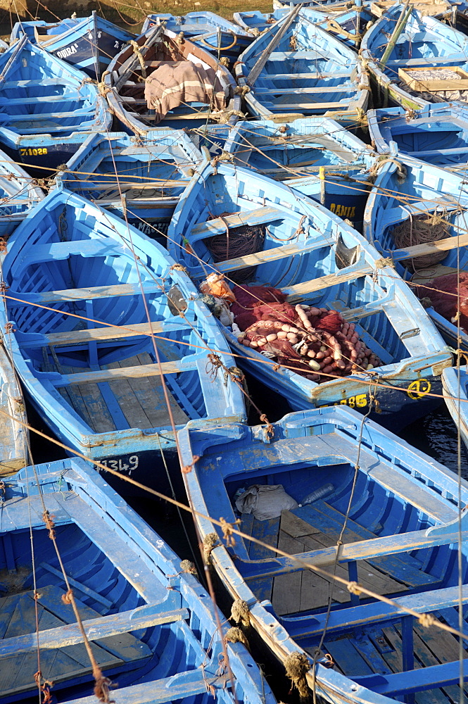 The old fishing port, Essaouira, historic city of Mogador, Morocco, North Africa, Africa