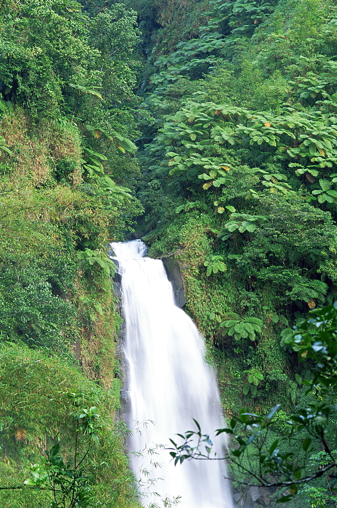 Trafalgar Falls, Roseau region, island of Dominica, West Indies, Caribbean, Central America