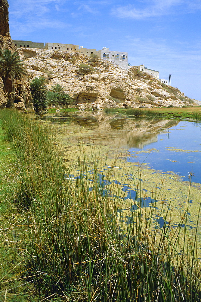 Wadi Shaab Oasis, Oman, Middle East