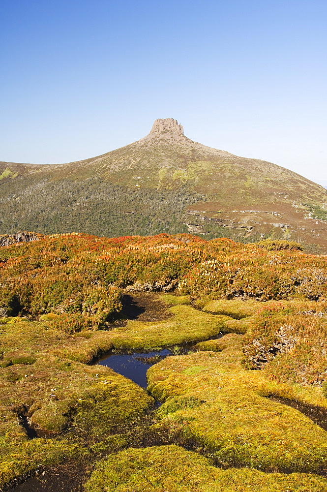 View from Mount Ossa, 1617m, Tasmania's highest mountain on the Overland Track, Cradle Mountain Lake St. Clair National Park, part of Tasmanian Wilderness, UNESCO World Heritage Site, Tasmania, Australia, Pacific