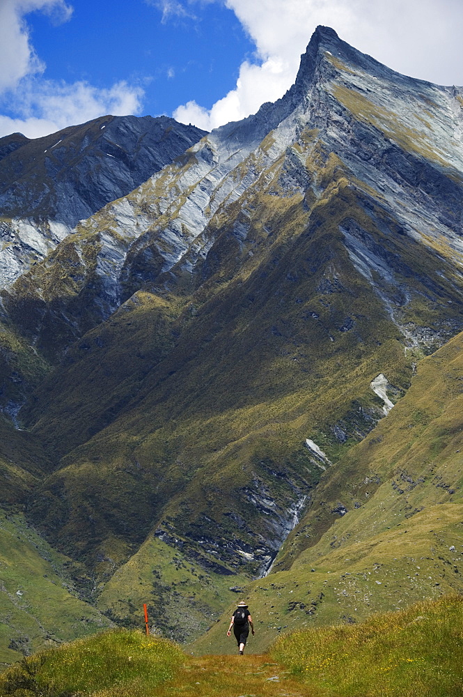 Hikers on the Rob Roy Glacier Hiking Track, Mount Aspiring National Park, South Island, New Zealand, Pacific