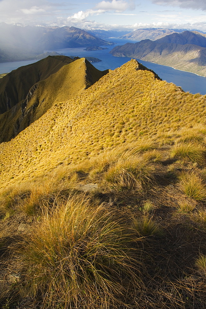 View of Lake Wanaka, 311m deep, from Mount Roy peak, Otago, South Island, New Zealand, Pacific