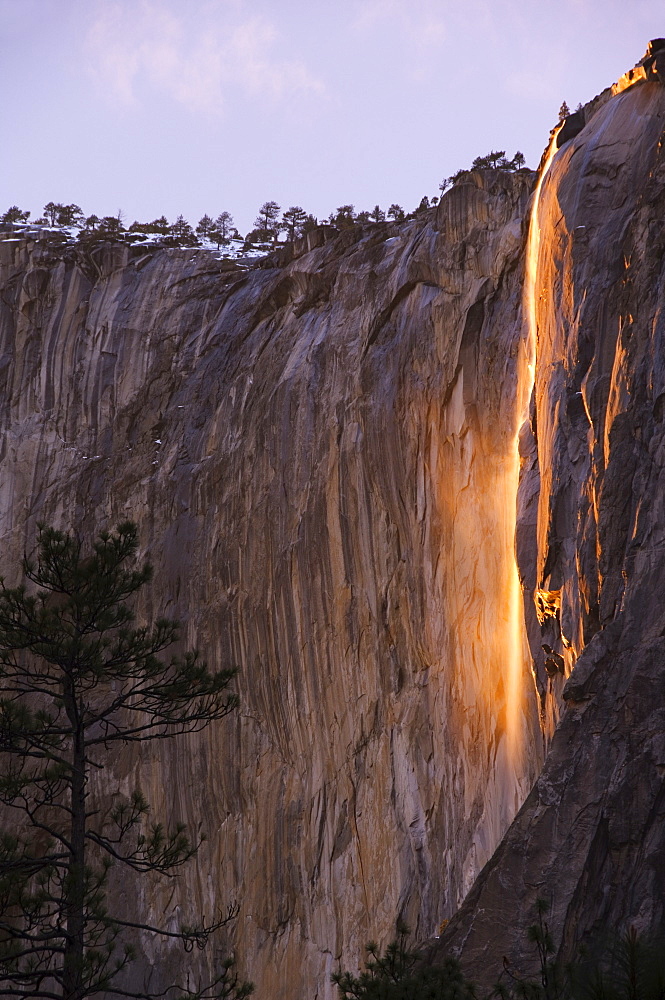 Afternoon light on Horsetail Falls, an occurence that happens once or twice a year in late February due to the angle of the sun and snow melt on the cliffs, Yosemite Valley, Yosemite National Park, UNESCO World Heritage Site, California, United States of America, North America