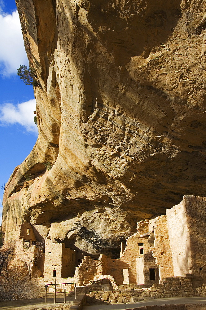 Spruce Tree House Ruins, Pueblo ruins in Mesa Verde containing some of the most elaborte Pueblo dwellings found today, Mesa Verde National Park, UNESCO World Heritage Site, Colorado, United States of America, North America