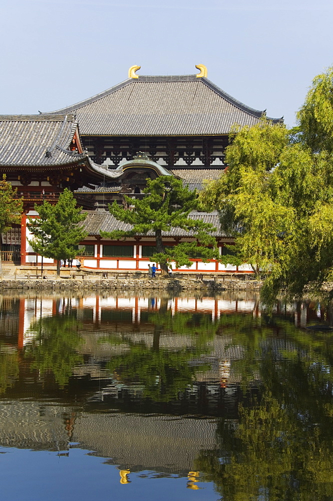 Reflection of Todaiji Big Buddha Temple constructed in the 8th century, UNESCO World Heritage Site, Nara City, Nara Prefecture, Honshu Island, Japan, Asia