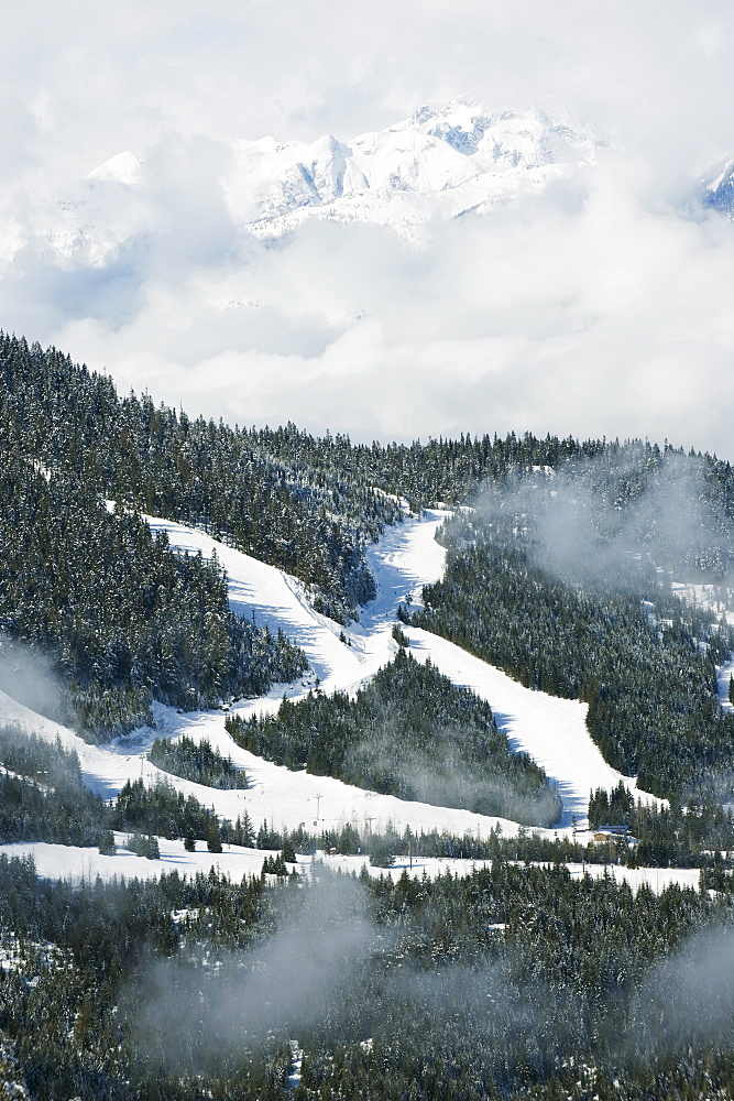 Tree lined ski slopes, Whistler mountain resort, venue of the 2010 Winter Olympic Games, British Columbia, Canada, North America