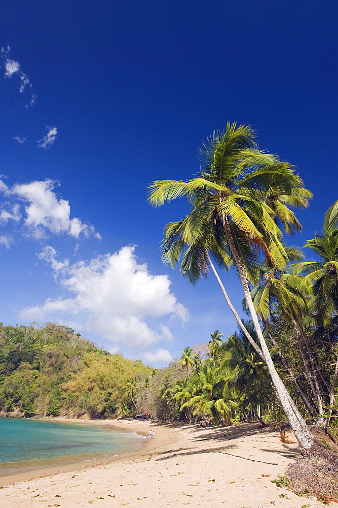 Palm tree fringed beach, Englishmans Bay, Tobago, Trinidad and Tobago, West Indies, Caribbean, Central America