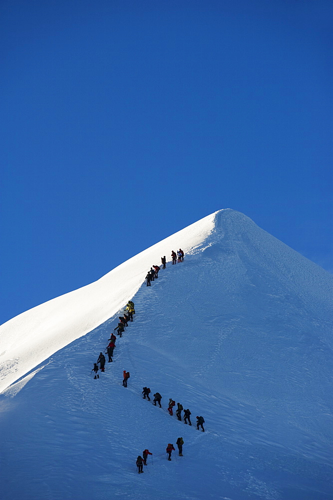 Long line of climbers on summit ridge of Mont Blanc, 4810m, Chamonix, French Alps, France, Europe