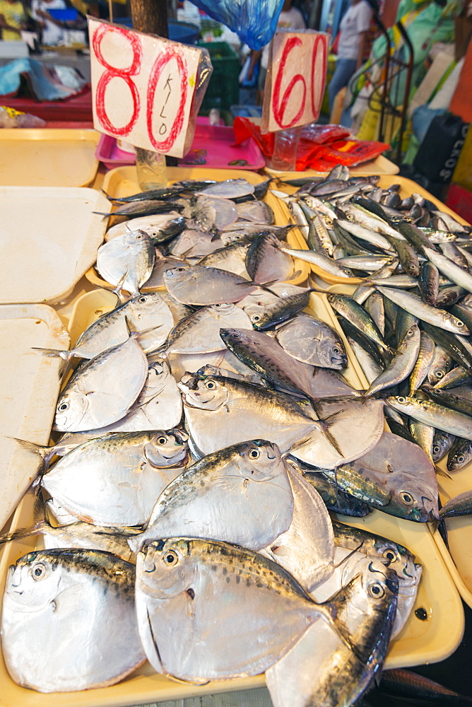 Fish for sale at the public market, Dumaguete, Cebu, The Visayas, Philippines, Southeast Asia, Asia