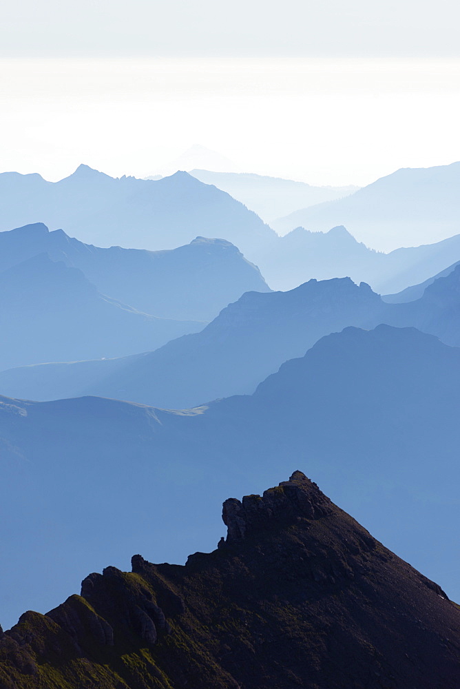 Mountain silhouette at dawn, Jungfrau-Aletsch, UNESCO World Heritage Site, Swiss Alps, Switzerland, Europe