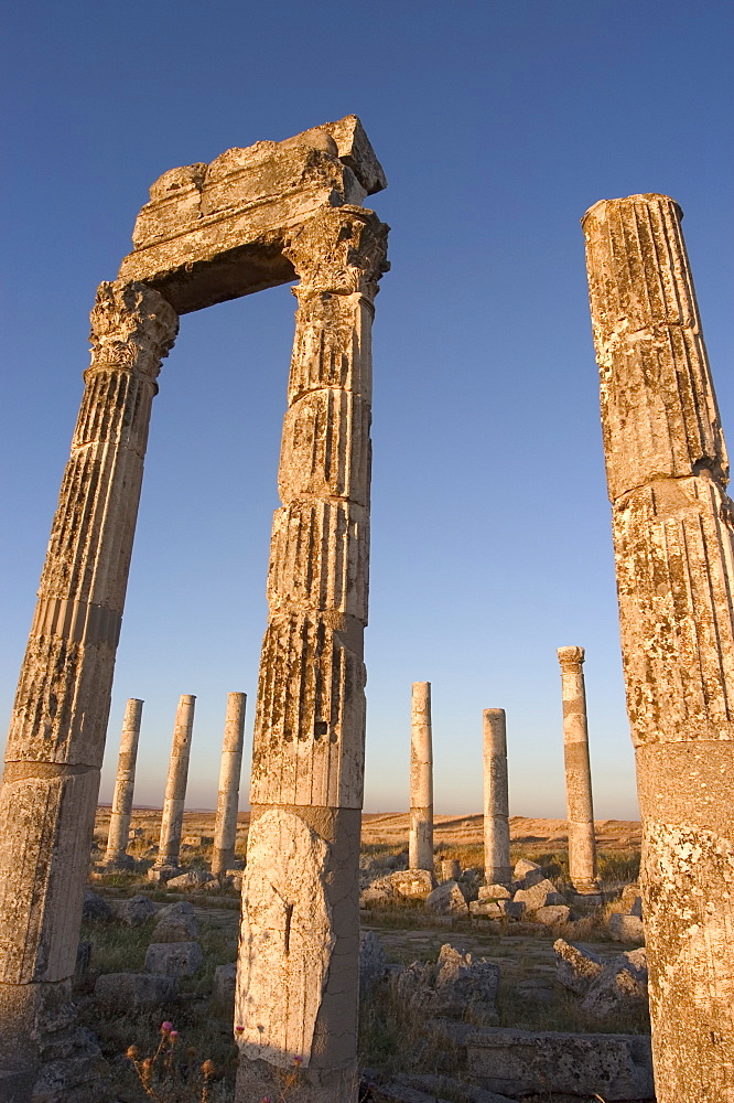 Archaelogical site, Apamea (Qalat at al-Mudiq), Syria, Middle East