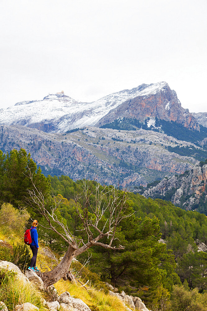 Serra de Tramuntura, hiker on a trail above Soller, Majorca, Balearic Islands, Spain, Mediterranean, Europe