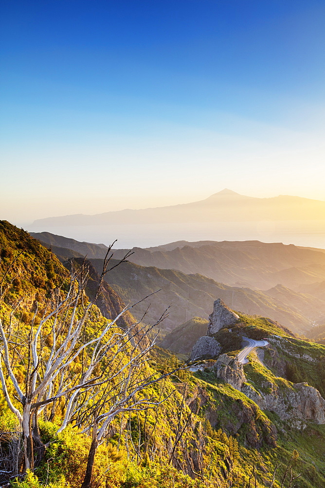 Garajonay National Park and Tenerife in the distance, Garajonay National Park, UNESCO World Heritage Site, La Gomera, Canary Islands, Spain, Atlantic, Europe