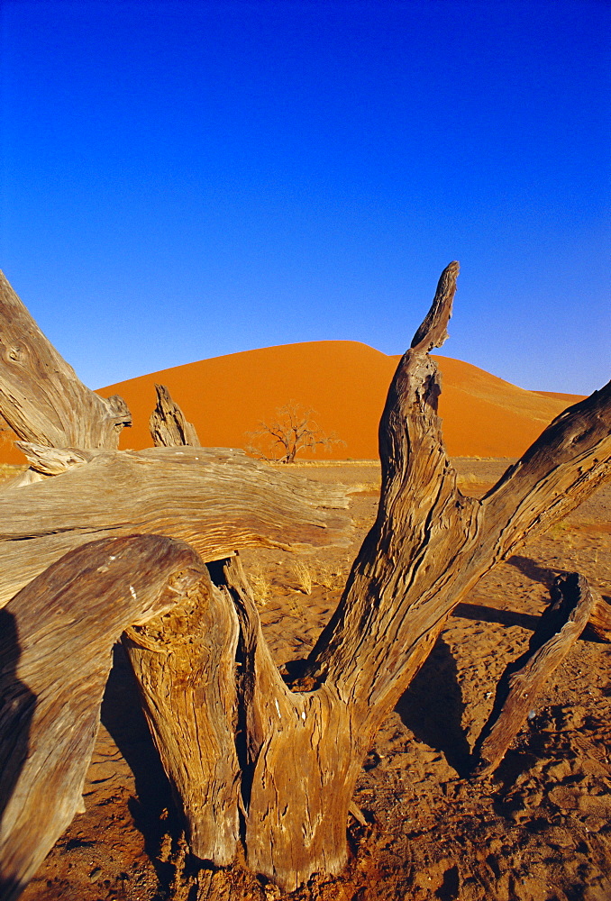 Sand dunes, Sesriem, Sossusvlei National Park, Namibia