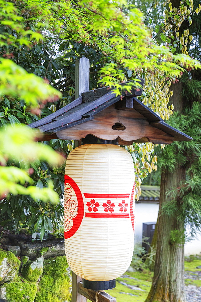 Paper lantern and maples trees, Kyoto, Japan, Asia