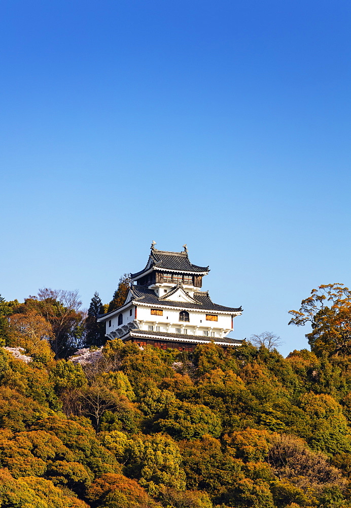 Iwakuni Castle, Iwakuni, Yamaguchi Prefecture, Honshu, Japan, Asia