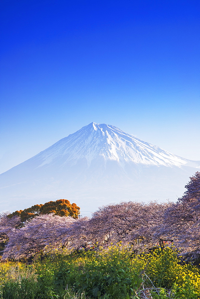 Mount Fuji, 3776m, UNESCO World Heritage Site, Yamanashi Prefecture, Honshu, Japan, Asia