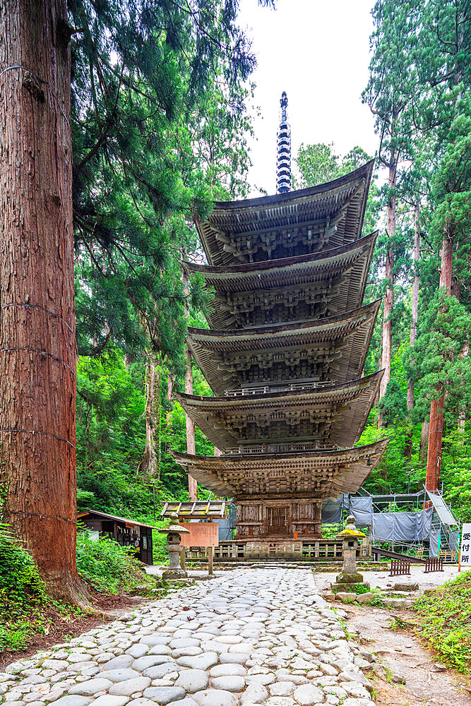 Five storey pagoda, Dewa sanzan Hagurosan temple, Yamagata Prefecture, Honshu, Japan, Asia