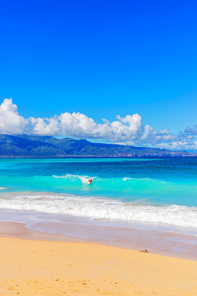 Body boarder, Baldwin Beach, Maui Island, Hawaii, United States of America, North America