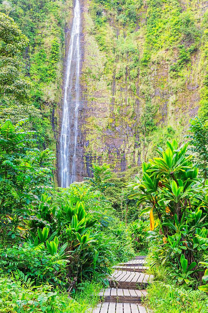 Pipiwai trail, Waimoku falls, Haleakala National Park, Maui Island, Hawaii, United States of America, North America