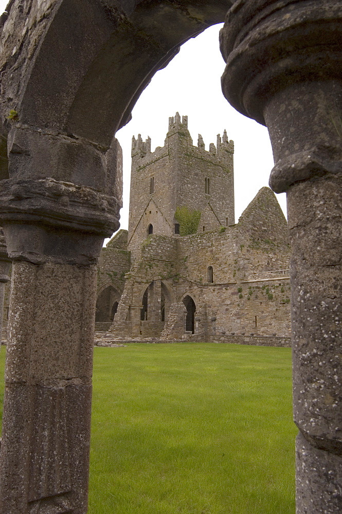 Jerpoint Abbey, County Kilkenny, Leinster, Republic of Ireland (Eire), Europe